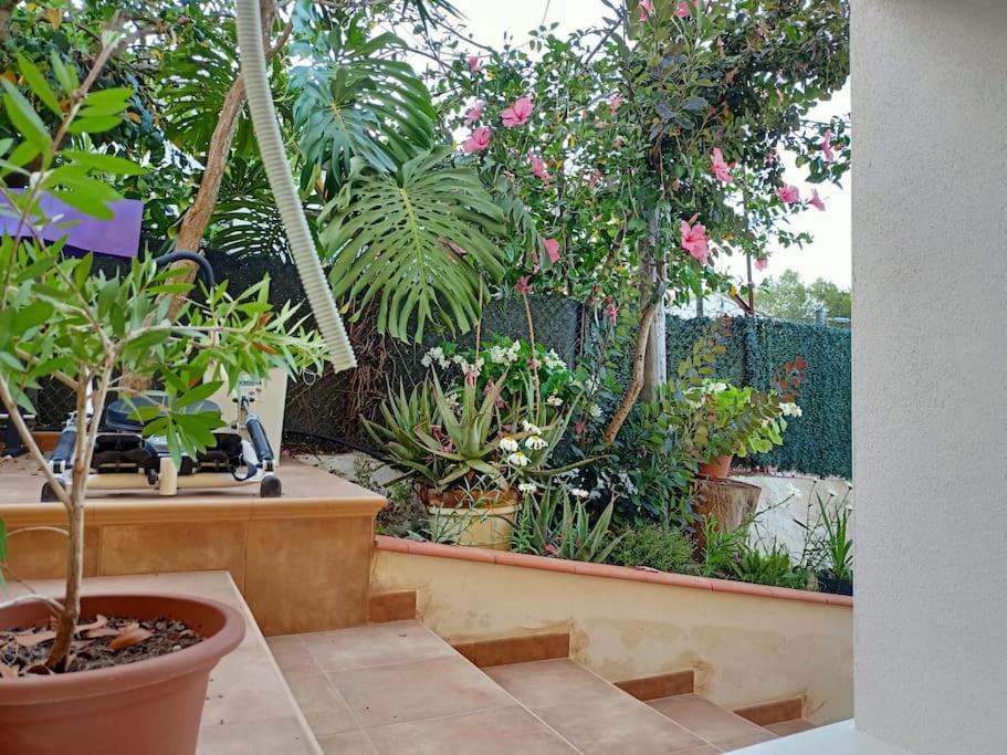 Villa Falconera Apartaments, Gandia A Las Faldas De La Montana Esterno foto