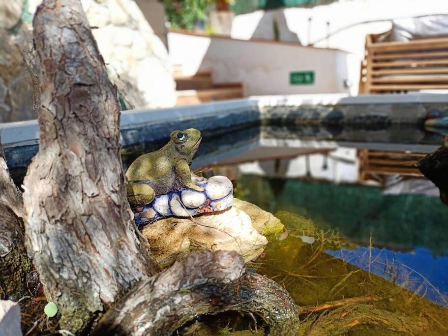 Villa Falconera Apartaments, Gandia A Las Faldas De La Montana Esterno foto