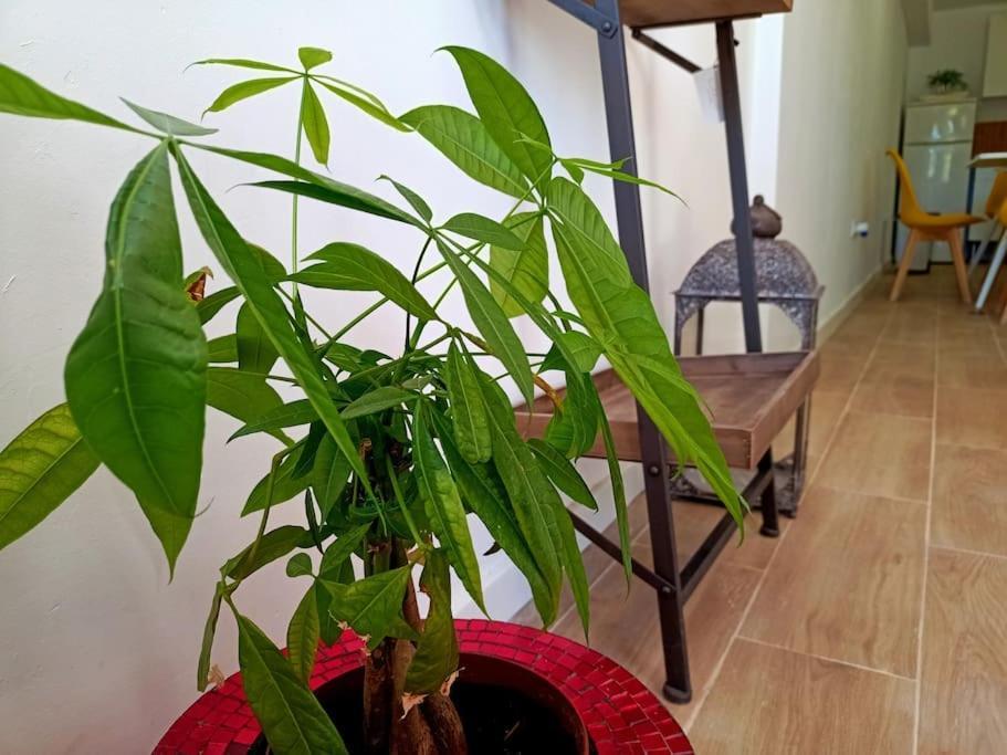 Villa Falconera Apartaments, Gandia A Las Faldas De La Montana Esterno foto